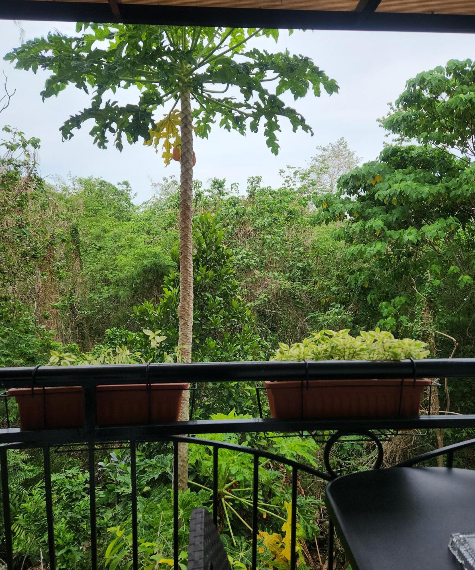 Condo Azur Suites B316 Near Airport, Netflix, Stylish, Cozy With Swimming Pool Lapu-Lapu City Esterno foto